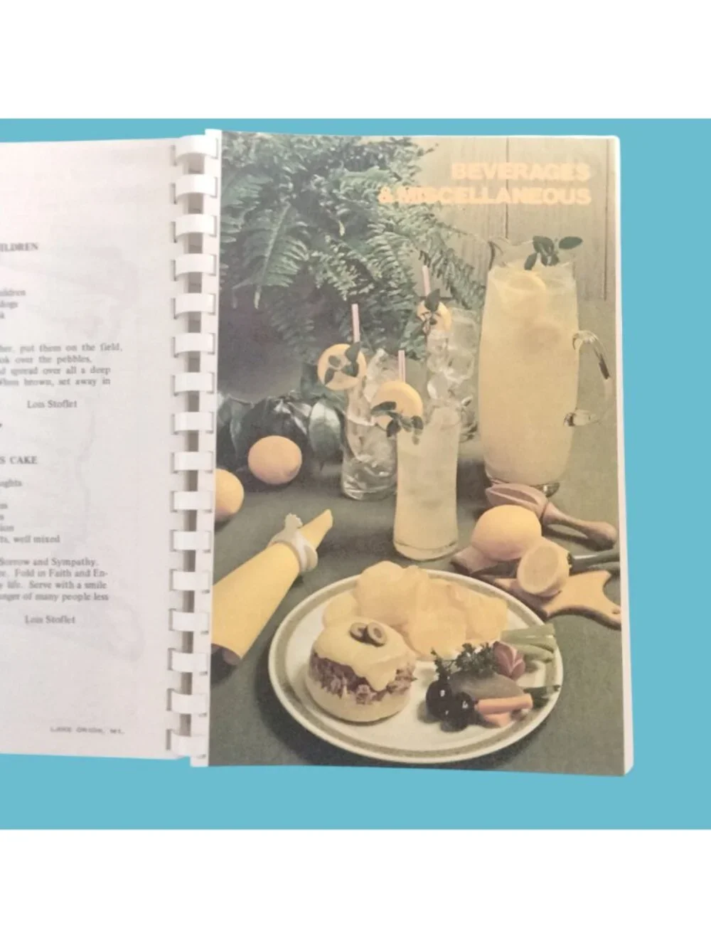 Spiral Bound Cookbook Keatington Womens Club Happy Cooker 1976 Lake Orion MI